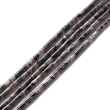 Natural Larvikite Beads Strands, Column, 9~10.5x3mm, Hole: 0.9~1mm,  about 40~43pcs/strand, 15.35 inch~15.55 inch(39~39.5cm)