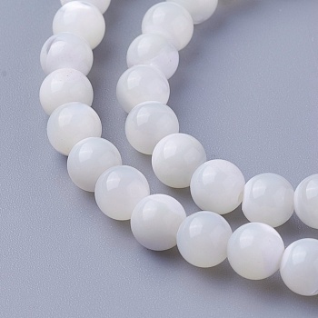 Shell Beads Strands, Round, 6~6.2mm, Hole: 1mm, about 65pcs/strand, 15 inch(38cm)