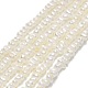 Natural Cultured Freshwater Pearl Beads Strands(PEAR-A005-18)-1