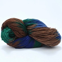 Acrylic Fiber Yarn, Gradient Color Yarn, Colorful, 2~3mm, about 50g/roll(PW22122439590)