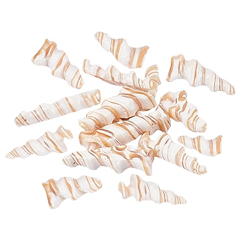 Natural Trochid Shell/Trochus Shell Beads, Top Drilled Beads, Spiral, 21~40x10~20x6~7mm, Hole: 0.5mm, about 20pcs/box