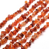 Natural Agate Chip Bead Strands, Dyed & Heated, 5~8x5~8mm, Hole: 1mm, about 31.5 inch(G-M205-47)