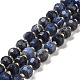 Natural Sodalite Beads Strands(G-P508-A10-01)-1