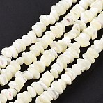 Natural Sea Shell Beads Strands, Bleach, Chips, White, 5~16x5~16x4.5~1~8mm, Hole: 0.5~0.7mm, about 97~124pcs/strand, 15.35 inch~15.94 inch(39cm~40.5cm)(SSHEL-S278-132)