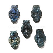 Halloween Natural Labradorite Cabochons, Owl with Skull Pattern, 52.5x31.5~32x9~16mm(G-G985-01)