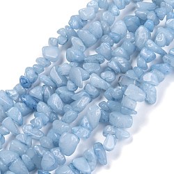 Dyed Natural Aquamarine Beads Strands, Chip, 3~16x3~8mm, Hole: 0.7mm, 32.28''(82cm)(X-G-F703-12)