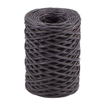 Paper Cords for DIY Jewelry Making, with Iron Wire Inside, Black, 2mm, about 54.68 yards(50m)/roll