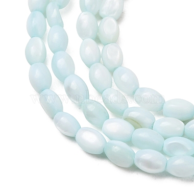 Dyed Natural Freshwater Shell Beads Strands(SH-CBA2978-06C)-2
