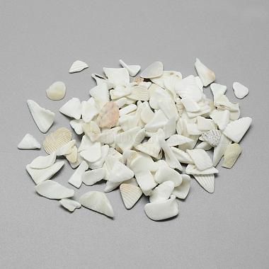 4mm Ivory Chip Other Sea Shell Beads