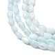 Dyed Natural Freshwater Shell Beads Strands(SH-CBA2978-06C)-2