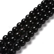 Natural Astrophyllite Beads Strands, Round, 8mm, Hole: 1mm, about 49pcs/strand, 15.63''(39.7cm)(G-A202-01B)