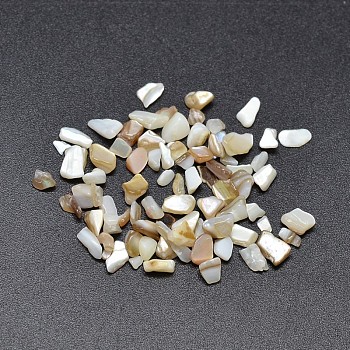 Dyed Natural Freshwater Shell Chips Beads, Shell Shards, No Hole, Pale Goldenrod, 2~7x2~5mm, about 10600pcs/500g