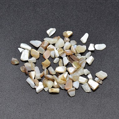 2mm PaleGoldenrod Chip Freshwater Shell Beads