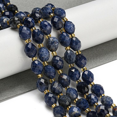 Natural Sodalite Beads Strands(G-N342-37)-2