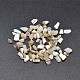Dyed Natural Freshwater Shell Chips Beads(SHEL-O001-17B)-1