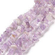 Natural Amethyst Chip Bead Strands, 5~8x5~8mm, Hole: 1mm, about 31.5 inch(G-M205-35-1)