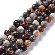 Natural Mexican Crazy Lace Agate Round Beads Strands, 12mm, Hole: 1.4mm, about 33pcs/strand(G-M379-25)
