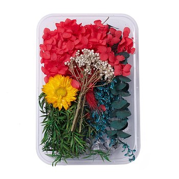 Dried Flowers, DIY Candle Soap Making Accessories, with Plastic Rectangle Box, Mixed Color, 1.9~15.5x1.9~6cm