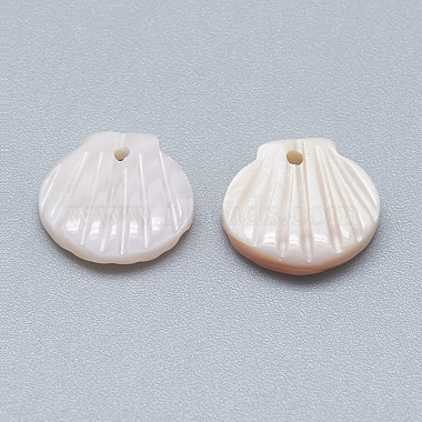 Natural White Shell Mother of Pearl Shell Charms(X-SSHEL-S260-097C)-2