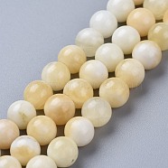 Natural Honey Jade Beads Strands, Round, 8~8.5mm, Hole: 0.8mm, about 46pcs/strand, 14.96 inch(38cm)(G-K153-B26-8mm-01)