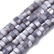 Natural Trochus Shell Beads Strands, Dyed, Flat Round/Disc, Heishi Beads, Light Grey, 4x2mm, Hole: 0.8mm, about 154~160pcs/strand, 14.96~15.75 inch(38~40cm)(SHEL-S278-027J)