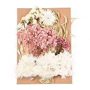 Dried Flower, for Bridal Shower, Wedding, Preserved Fresh Flower, Colorful, 210x148x14~24.5mm(DIY-B018-14)