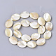 Chapelets de perles de coquille de trochid / trochus coquille(SHEL-T013-006A-01)-2