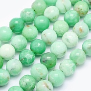 Natural Chrysoprase Beads Strands, Round, 10mm, Hole: 1mm, about 40pcs/strand, 15.9 inch(40.5cm)(G-O166-03-10mm)