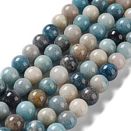 Natural Trolleite Beads Strands, Round, 4~5mm, Hole: 0.8mm, about 87pcs/strand, 15.35 inch(39cm)(G-NH0002-B01-05)