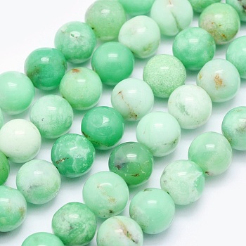 Natural Chrysoprase Beads Strands, Round, 10mm, Hole: 1mm, about 40pcs/strand, 15.9 inch(40.5cm)