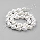 Shell Pearl Beads Strands(BSHE-K010-03B)-2