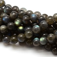 Grade AA Natural Gemstone Labradorite Round Beads Strands, 6mm, Hole: 1mm, about 62pcs/strand, 15.5 inch(X-G-E251-33-6mm)