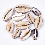 Cowrie Shell Beads, Undrilled/No Hole Beads, Seashell Color, 35~55x20~30x10~16mm, about 55pcs/500g(SSHEL-T008-26)