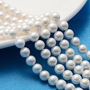 Polished Shell Pearl Round Beads Strands, Nice for Mother's Day Necklace Making, Grade A, White, 6mm, Hole: 0.5mm, about 61pcs/strand(SP6MM701)