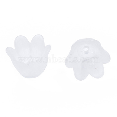 Transparent Acrylic Bead Caps(FACR-N005-002A)-5