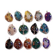 Natural Agate Big Pendants, with Rack Plating Brass Wires, Chakra Gemstone Beads, Cadmium Free & Lead Free, Dyed & Heated, Nuggets with Tree, Mixed Color, 58~62x37~47x13~14mm, Hole: 4~6mm(G-H274-06)