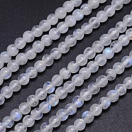 Natural Rainbow Moonstone Round Bead Strands, Grade AA, 4~4.5mm, Hole: 1mm, about 98pcs/strand, 15.5 inch(G-M263-A-02)