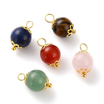 Natural Lapis Lazuli & Red Agate & Green Aventurine & Rose Quartz & Tiger Eye Pendants, with Iron Bead Caps and Brass Ball Head Pins Findings, Round, Golden, 14~15.5x8~8.5mm, hole: 2~2.5mm. 
