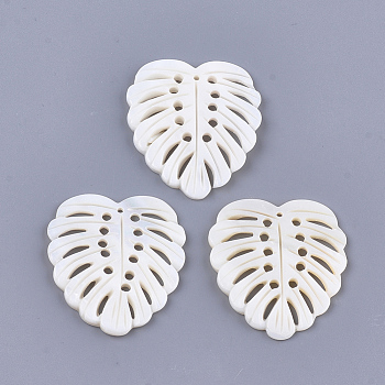 Freshwater Shell Pendants, Tropical Leaf Charms, Monstera Leaf , Seashell Color, 43~44x38~39x2~4mm, Hole: 1.5~2.5mm