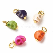 Dyed Synthetic Turquoise Charms, with Golden Tone Alloy & Iron Findings, Skull, Mixed Color, 14.5x6.5x6mm, Hole: 2.7x2.2mm(PALLOY-JF01452)