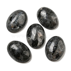 Natural Larvikite Cabochons, Oval, 18x13x5~5.5mm(G-C115-01A-40)