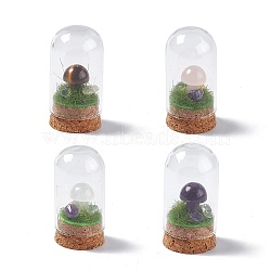 Natural Mixed Stone Mushroom Display Decoration with Glass Dome Cloche Cover, Cork Base Bell Jar Ornaments for Home Decoration, 30x57.5mm(G-E588-03)