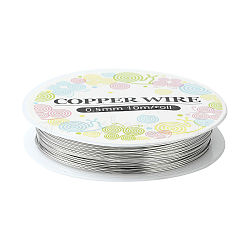 Round Craft Copper Wire, Nickel Free, Silver Color Plated, 24 Gauge, 0.5mm, about 31.16 Feet(9.5m)/roll(X-CW0.5mm006)