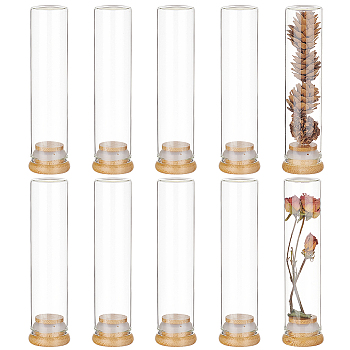 10Pcs Glass Bead Storage Tubes, Bead Containers, with Bamboo Cap, Clear, 3.2x12.5cm, Inner Diameter: 2.5cm, Capacity: 60ml(2.03fl. oz)