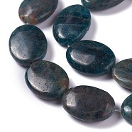 Natural Apatite Beads Strands, Oval, 25x18x7~8mm, Hole: 0.8mm, about 16pcs/strand, 15.55 inch(39.5cm)(G-H242-05)