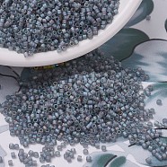 MIYUKI Delica Beads Small, Cylinder, Japanese Seed Beads, 15/0, (DBS0863) Matte Transparent Gray AB, 1.1x1.3mm, Hole: 0.7mm, about 175000pcs/bag, 50g/bag(SEED-X0054-DBS0863)