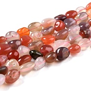 Natural Botswana Agate Beads Strands, Nuggets, Tumbled Stone, 8~11x7.5~9x4.5~7mm, Hole: 0.8mm, about 42pcs/strand, 15.94''(40.5cm)(G-G018-08)
