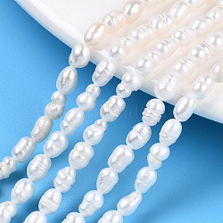 Natural Cultured Freshwater Pearl Beads Strands, Baroque Keshi Pearl Rice Beads, Seashell Color, 5~6x3.5~4mm, Hole: 0.7~0.8mm, about 33~34pcs/strand, 7.09 inch(18cm)(PEAR-N012-03J)