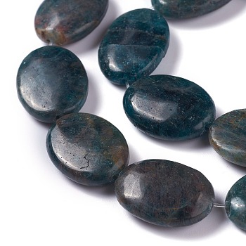 Natural Apatite Beads Strands, Oval, 25x18x7~8mm, Hole: 0.8mm, about 16pcs/strand, 15.55 inch(39.5cm)