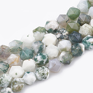 Natural Tree Agate Beads Strands, Star Cut Round Beads, Faceted, 8~10x7~8mm, Hole: 1mm, about 45~48pcs/strand, 14.2~14.6 inch(G-S332-8mm-010)
